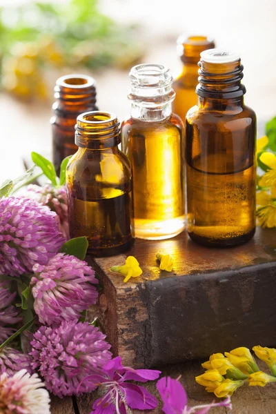 Etherische oliën en geneeskrachtige bloemen kruiden — Stockfoto