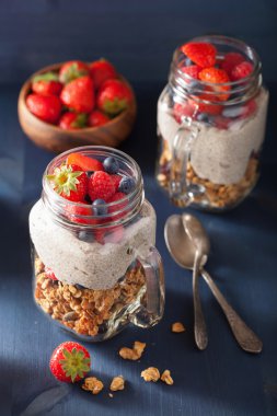 berry sağlıklı kahvaltı ile ev yapımı granola ve chia tohum puding
