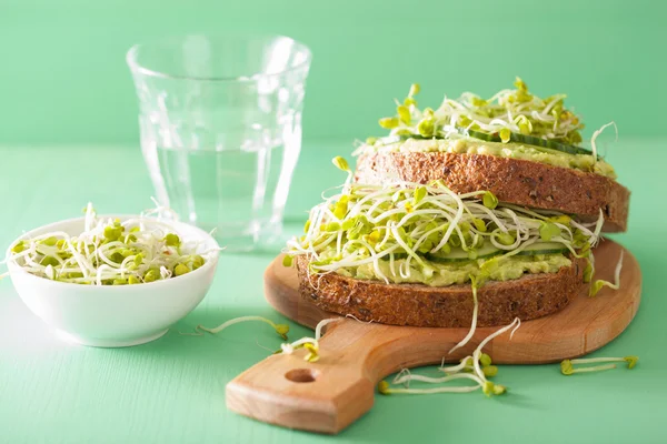 Gezonde roggebrood met avocado komkommer radijs spruiten — Stockfoto