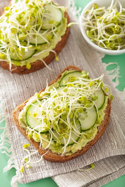 Gezonde avocado toast met komkommer radijs spruiten — Stockfoto