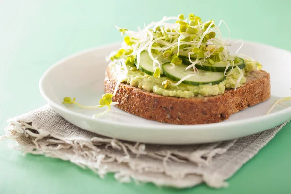 Gezonde avocado toast met komkommer radijs spruiten — Stockfoto