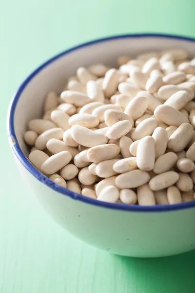 Mentah haricot legumes cannellini biji dalam mangkuk — Stok Foto
