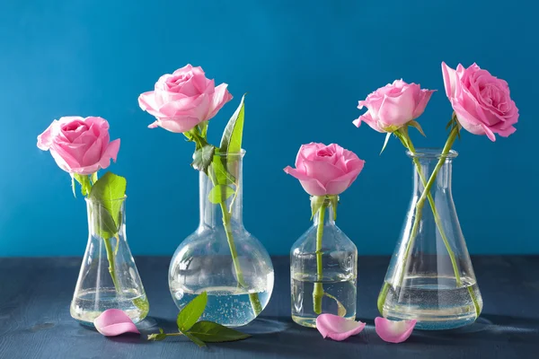 Rosa flores en frascos químicos sobre azul — Foto de Stock