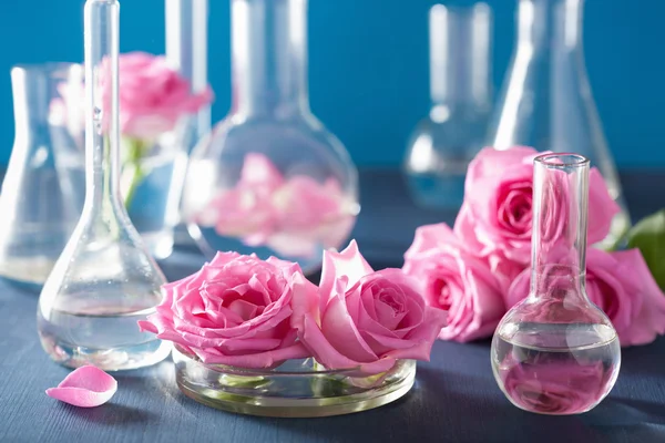 Alchemie und Aromatherapie mit Rosenblüten und Chemiekolben — Stockfoto