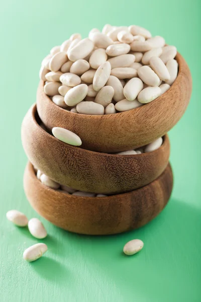 Raw haricot legumes cannellini beans in bowl — Stock Photo, Image