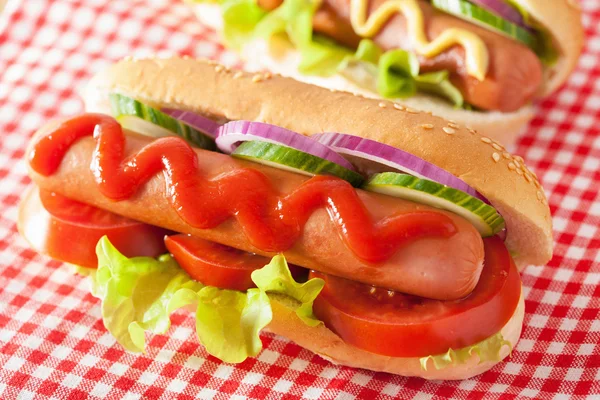 Cachorro-quente com ketchup mostarda e legumes — Fotografia de Stock