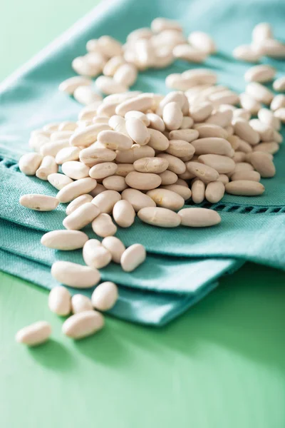 Raw haricot legumes cannellini beans — Stock Photo, Image