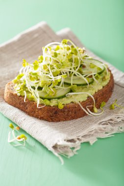 sağlıklı avokado tost ile salatalık turp lahanası