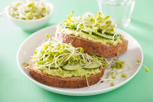 Gezonde avocado toast met komkommer radijs spruiten — Stockfoto