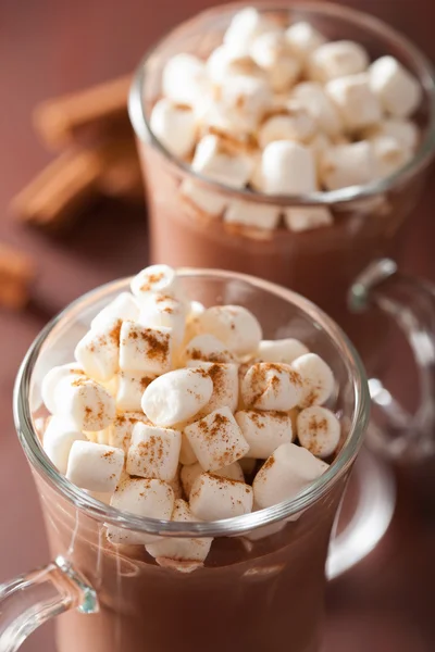 Forró csoki-téli itallal mini marshmallows fahéj — Stock Fotó