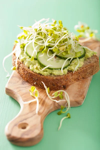 Gezonde avocado toast met komkommer radijs spruiten — Stockfoto