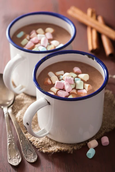 Hot chocolate with mini marshmallows cinnamon winter drink — Stock Photo, Image