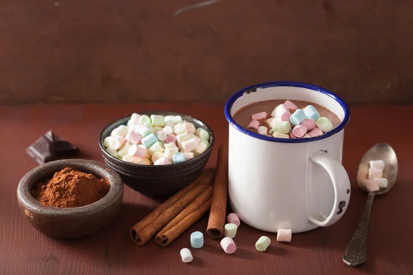 Varm choklad med mini marshmallows kanel vintern drink — Stockfoto