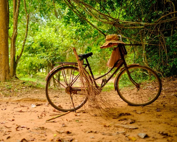 Fiets staande in het regenwoud — Stockfoto