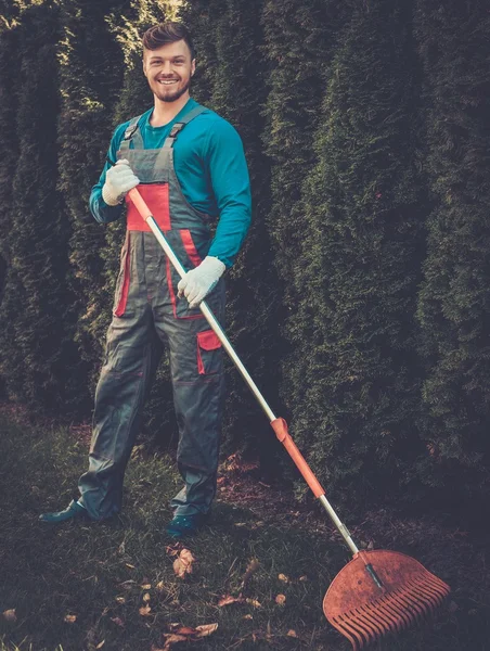 Gardener raking up leaves — Stock Photo, Image