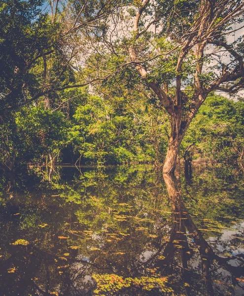 Duizend lingas rivier. Angkor — Stockfoto