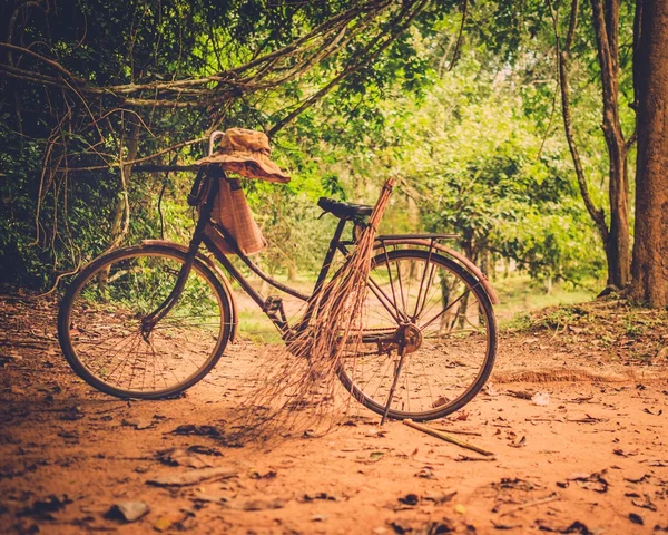 Vintage fiets staande in het regenwoud — Stockfoto