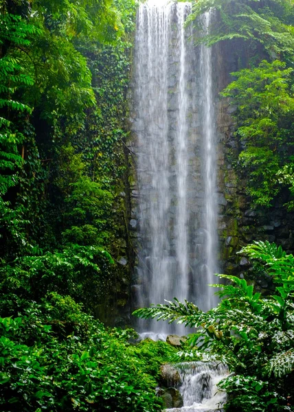 Tropical waterfall in a jungle — Stock Photo, Image