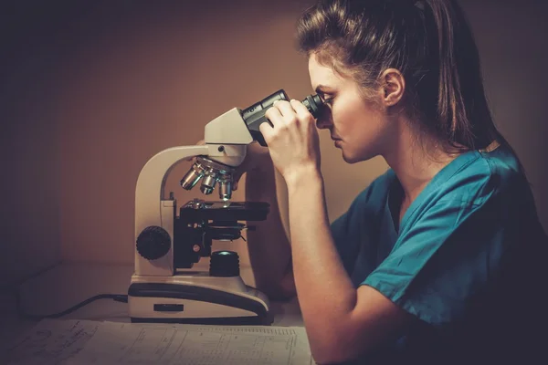 Säker veterinär undersöka testet under mikroskopet i veterinärklinik. — Stockfoto