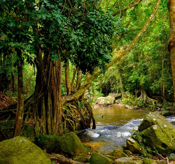 Migliaia di lingas. Angkor — Foto Stock