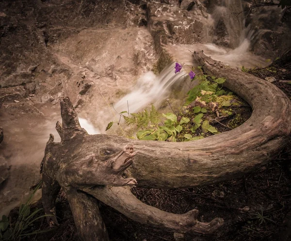 Cachoeira em uma floresta em Slovak Paradise — Fotografia de Stock