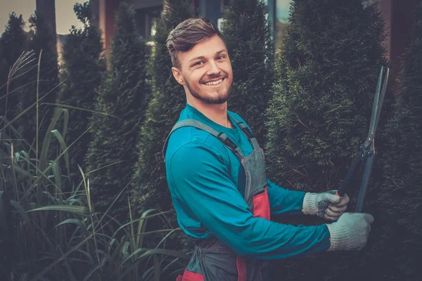 Alberi da taglio giardiniere con cesoie — Foto Stock