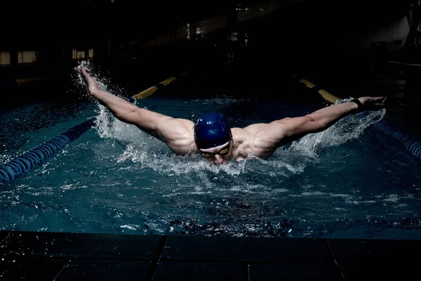 Спортсмен плавает в бассейне — стоковое фото