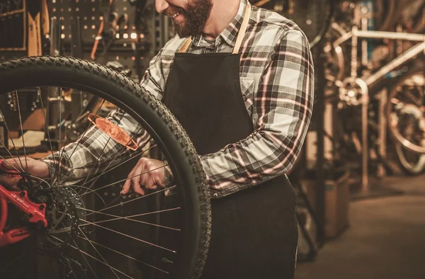 Stylowy rower mechanik — Zdjęcie stockowe