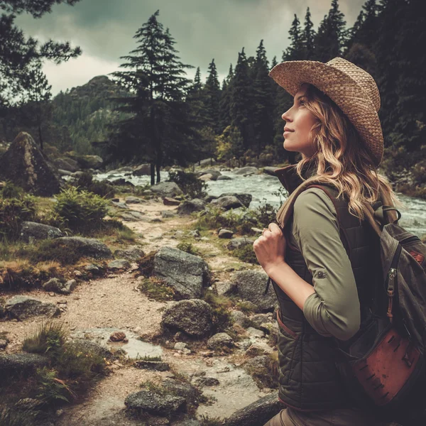 Wilde berg rivier die stroomt door het bos. — Stockfoto