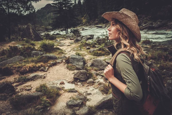 Fiume selvaggio di montagna che scorre attraverso la foresta . — Foto Stock