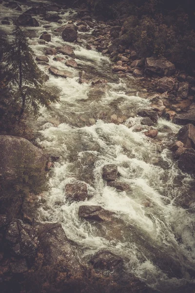 Ormanın içinden akan nehir vahşi dağ. — Stok fotoğraf
