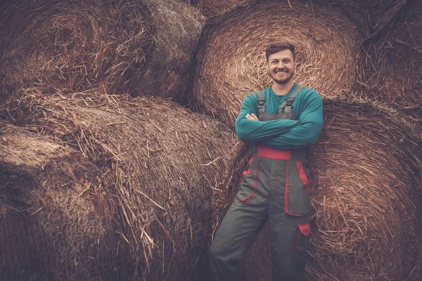 Magabiztos fiatal mezőgazdasági termelő haystacks közelében — Stock Fotó