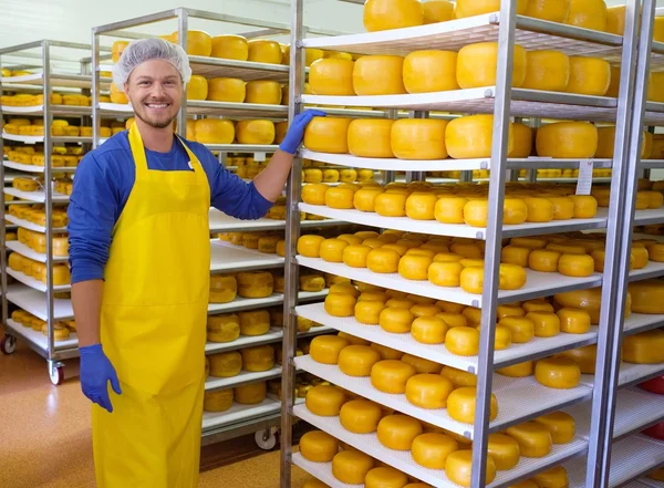 Cheesemaker kontrollerar ostar — Stockfoto