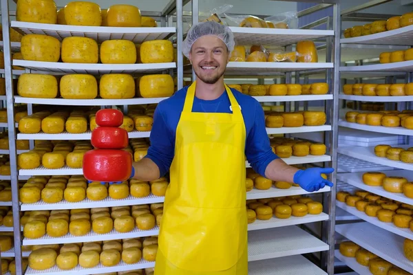 Quesero está comprobando quesos — Foto de Stock