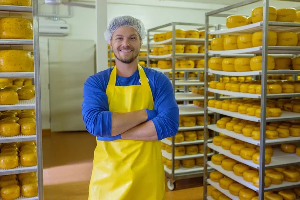 Kaasproducent is het controleren van kazen — Stockfoto
