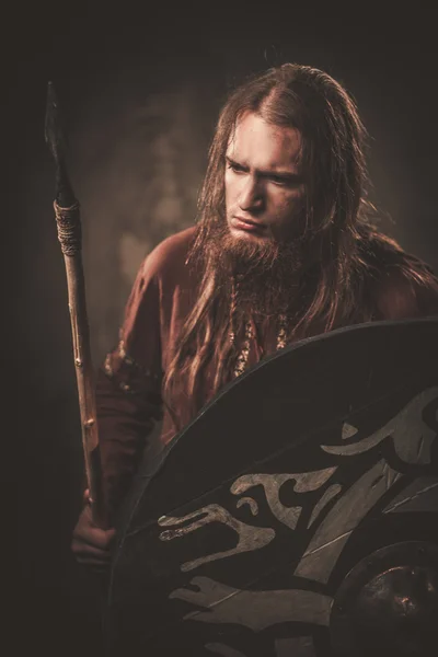 Geleneksel savaşçı giysili bir mızrak ile ciddi viking — Stok fotoğraf