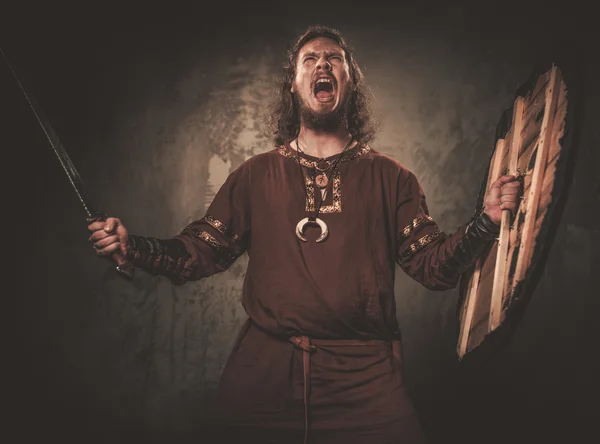 Angry viking com espada em uma roupa de guerreiro tradicional — Fotografia de Stock