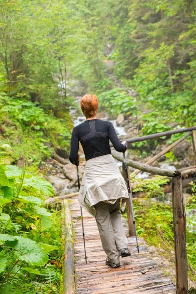 Wandelaar met wandelen palen op zoek lopen over houten brug in een forest — Stockfoto