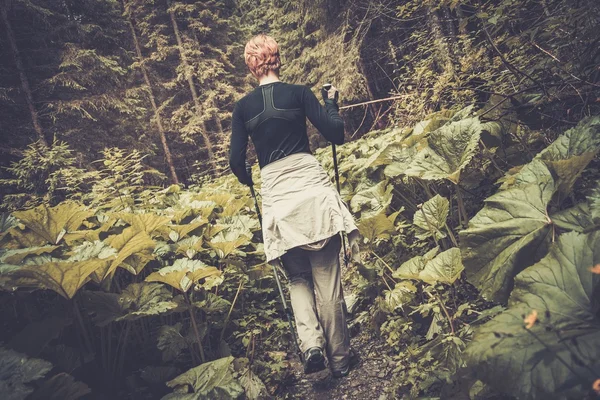 Woman with hiking equipment walking in mountain forest — Stock Photo, Image