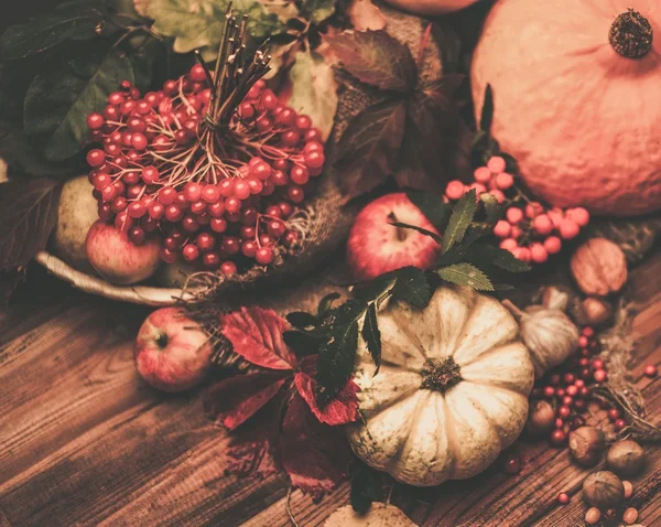 Podzimní zátiší-den díkůvzdání — Stock fotografie