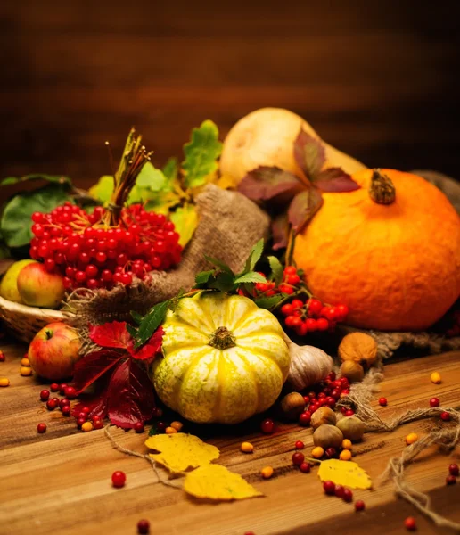 Thanksgiving day herfst stilleven — Stockfoto