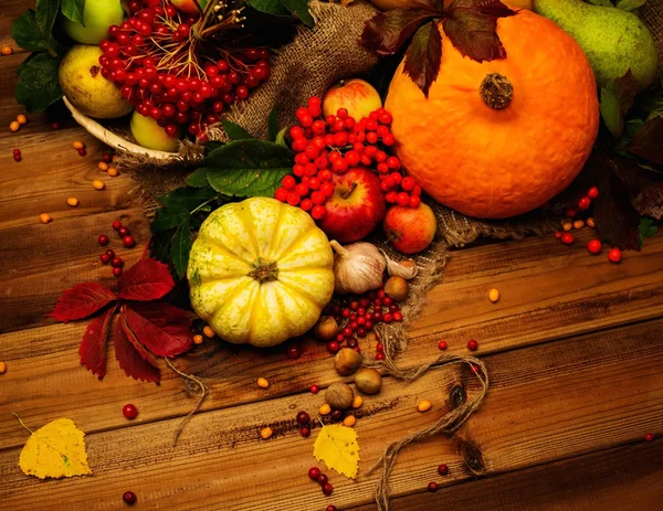 Thanksgiving day autumnal still life — Stock Photo, Image