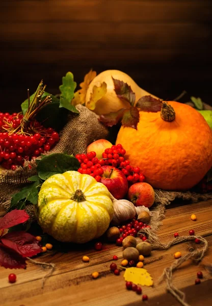 Thanksgiving day autumnal still life — Stock Photo, Image