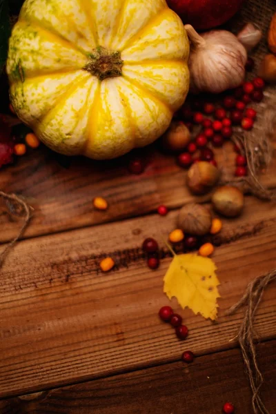 Thanksgiving day autumnal still life — Stock Photo, Image