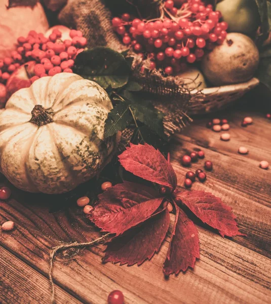Podzimní zátiší-den díkůvzdání — Stock fotografie