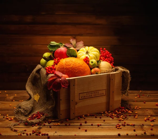 Dia de Ação de Graças Outono ainda vida — Fotografia de Stock