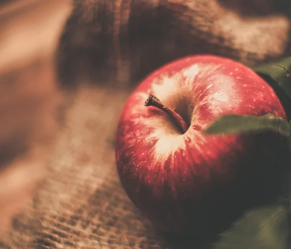 Červené jablko na pytel oblečení — Stock fotografie