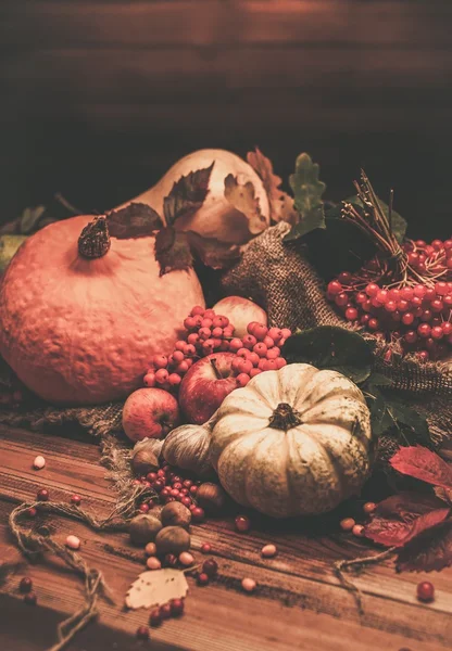 Thanksgiving day autumnal still life — Stock Photo, Image