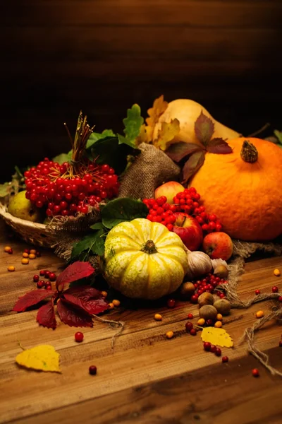 Erntedankfest Herbststillleben — Stockfoto