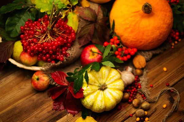 Jesienny Dzień Dziękczynienia martwa — Zdjęcie stockowe